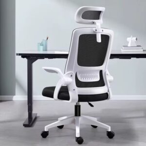 Ergonomic Chair