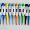 pregnant4 Digital Thermometer