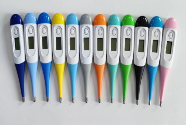 pregnant4 Digital Thermometer