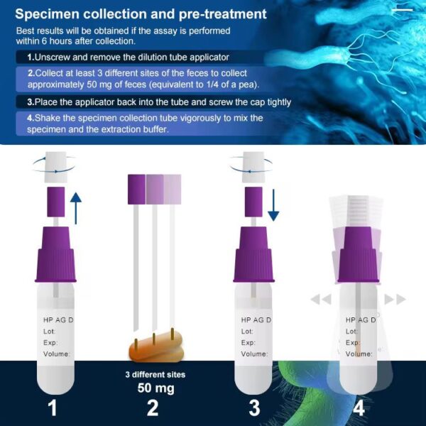 pylori2 Helicobacter Pylori detection kit